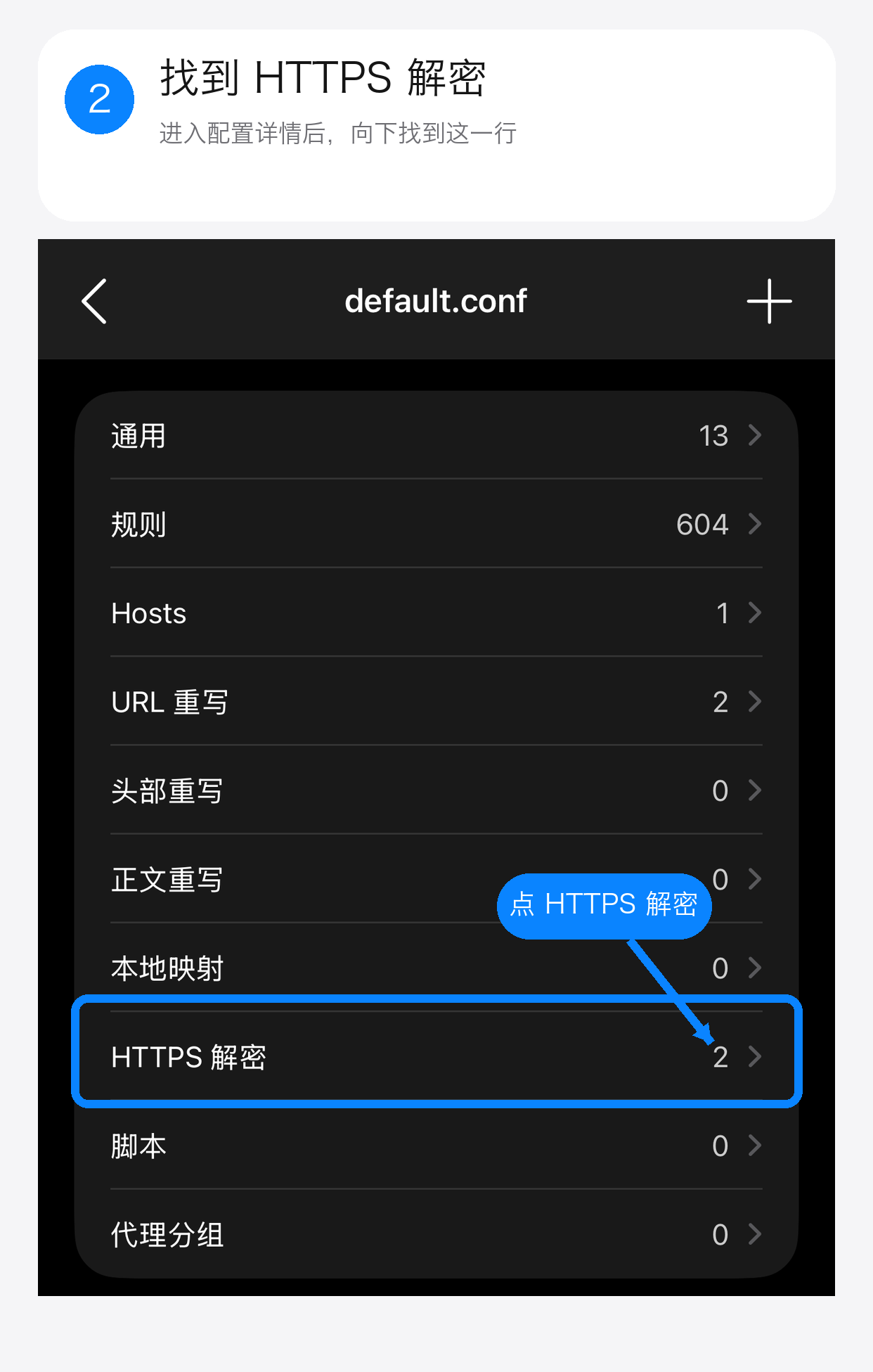 在 Shadowrocket 配置详情中点击 HTTPS 解密